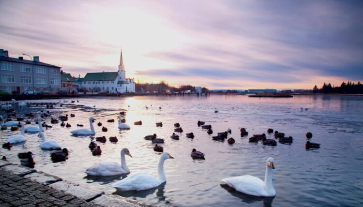 Low Crime Country to Live in